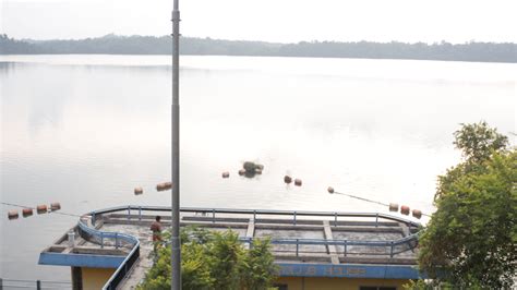 Danau Way Jepara Lampung Timur Destinasi Bendungan Air Dengan