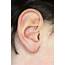 Young Boys Ear  Stock Image C014/6942 Science Photo Library