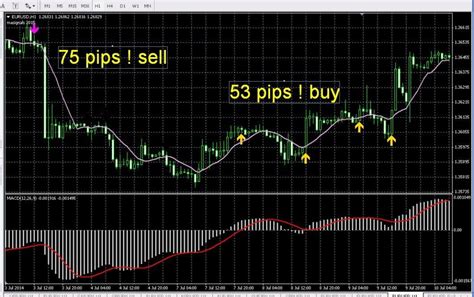 Accurate Forex Indicator And Also Effective Standard Indicator For