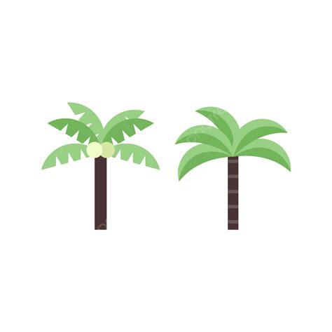 Coconut Tree Flat Design Transparent Background Vector Coconut Tree