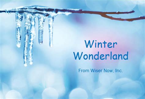 Winter Wonderland Wiser Now Inc