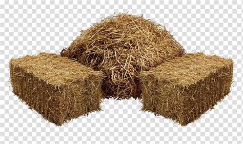 Large Pile Of Dry Hay Behind Wooden Fence Farm Vector Image Clip Art