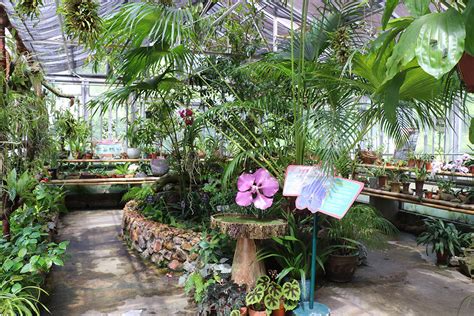 Orchid Greenhousekadoorie Farm And Botanic Garden