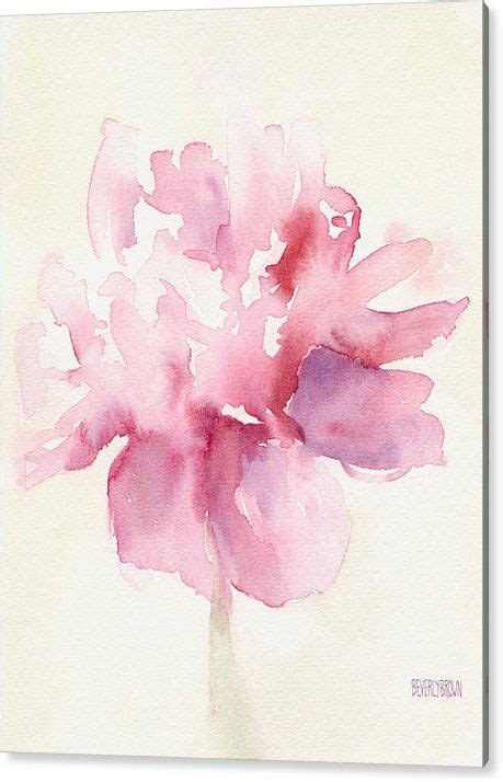 Pink Peony Watercolor Paintings Of Flowers Acrylic Print By Beverly