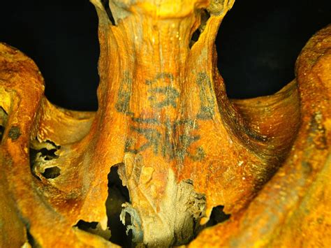 Ornately Tattooed 3000 Year Old Mummy Discovered By Archaeolgists