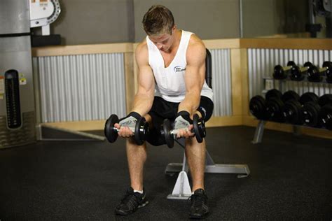 Seated Dumbbell Palms Up Wrist Curl Exercise Guide And Video
