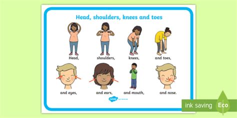 head shoulders knees and toes poster teacher made