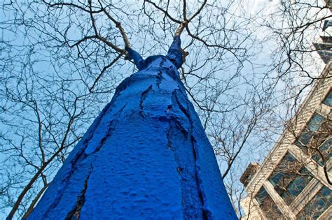 Why Seattles Trees Are Turning Electric Blue Blue Tree Tree Art