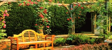 We did not find results for: Cover Up Unsightly Backyard Walls with Vines, Decor, and ...