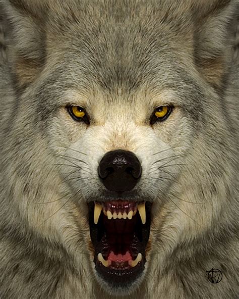 Pin Von Andre Auf Wolf Böser Wolf Wolf Hunde Ausgestopftes Tier