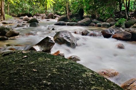 Blurry River Stock Image Image Of Forest Landscapes 86996091