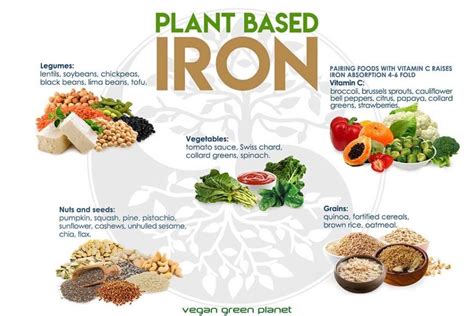 Plant Based Iron Vegan Green Planet