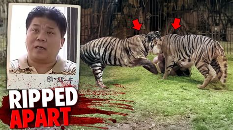 These 2 Escaped Tigers Ripped Apart This Circus Employee In Front Of Co