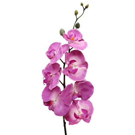 32 Tall Realistic To The Touch Silk Phalaenopsis Orchid Spray In Two Tone Lavender This Real