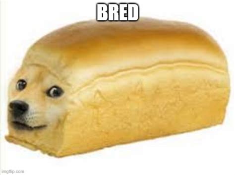 Doge Bread Imgflip