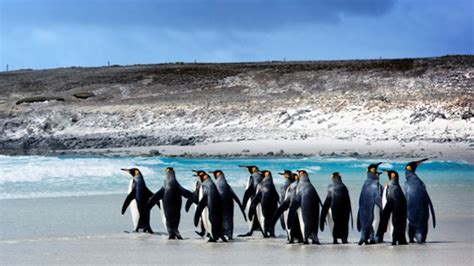 falkland islanders do not exist says argentina