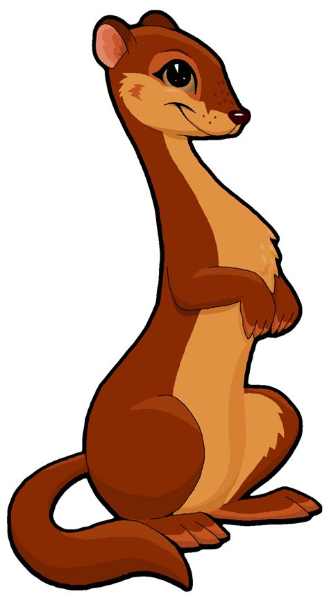 collection  weasel png hd pluspng