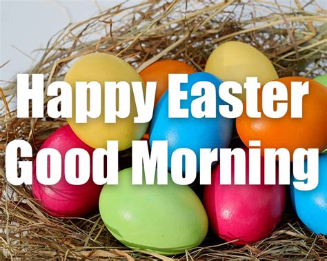 Happy Easter Good Morning Pictures Photos And Images For Facebook