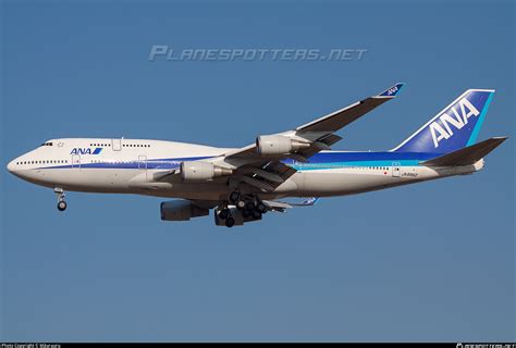 Ja8962 All Nippon Airways Boeing 747 481 Photo By Māuruuru Id 843177