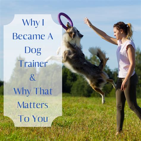 Why I Became A Dog Trainer And Why That Matters To You Become A Dog