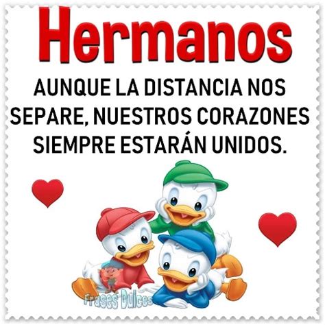 Más que un familiar, es un amigo. Las Más Hermosas Frases de Feliz Cumpleaños para un Hermano | Feliz Día D