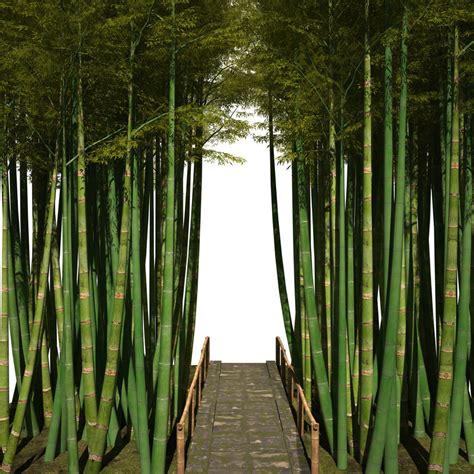 Bamboo Corridor Set 3d Model Turbosquid 1216281