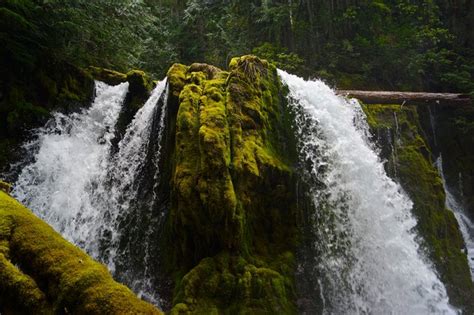 The Downing Creek Trail In Oregon Ends With A Glorious Waterfall Finish