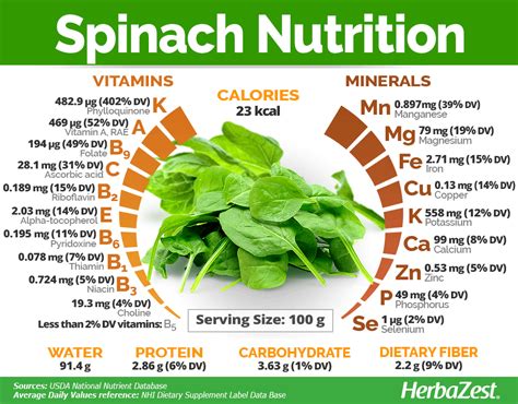 What Is The Nutritional Value Of Spinach Nutrition Pics