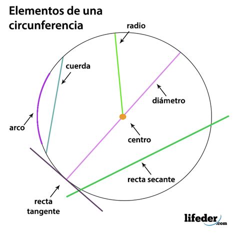 Elementos De La Circunferencia Y Circulo Mind Map