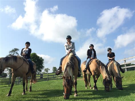 Toronto Horseback Riding Trails And Lessons Pleasure Valley Paths