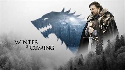 Coming Winter Stark