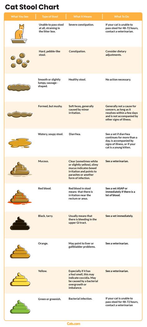Vet Approved Cat Stool Chart Decoding Your Cats Poop