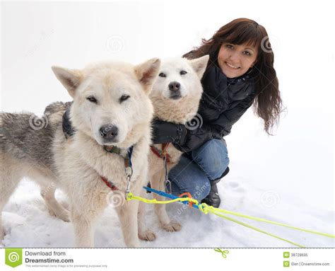 Young Woman And Dog Siberian Husky Royalty Free Stock