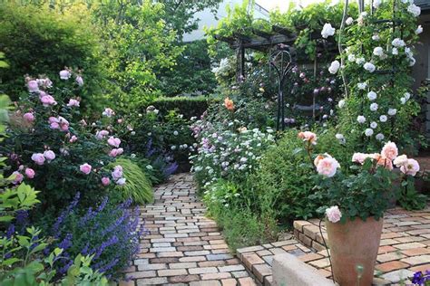 カメラマンが訪ねた感動の花の庭。雑木とバラが調和する庭 静岡・植野邸 庭 庭園 素敵な庭