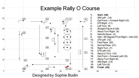 Rally Obedience Course Map Dog Training School Agility Training For