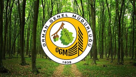 Moreover, the ogm has approved the company's 2018 financial statements, as well as the board's and audit's reports. Ogm başvuru formu 2019 | Tarım ve orman bakanlığı personel ...