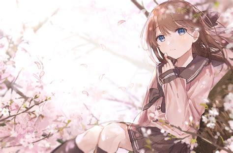 Oyuyu Brunette Blue Eyes Anime Anime Girls Cherry Blossom School