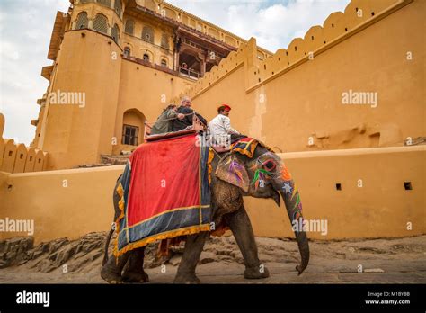 Amer Fort Jaipur With Tourists Enjoying Decorated Elephant Ride Amber