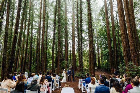 A Gorgeous California Redwoods Wedding Emily And Leroy