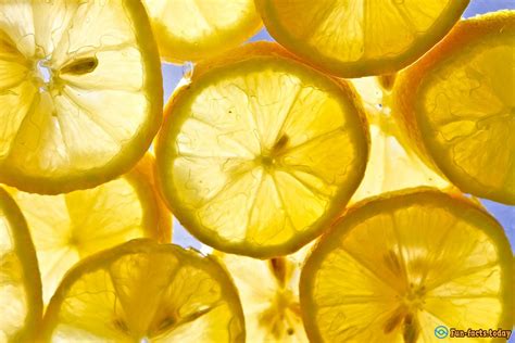Fun Facts About Lemons