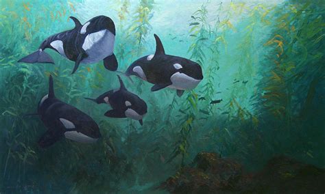 Cruising The Kelp Forest Gerry Miles Paintings
