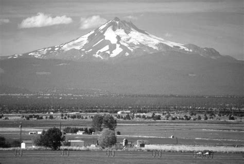 Digital Data For Volcano Hazards In The Mount Jefferson Region Oregon