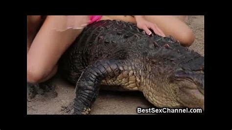 Wtf Hot Babes Riding Alligatorsand