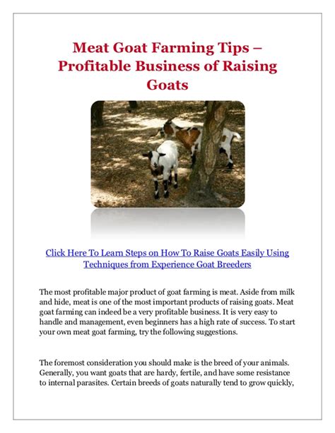 There is significant demand for goat products and they also need less investment and high profit margin in a short time period. Meat Goat Farming Tips - Profitable Business of Raising Goats