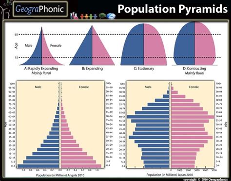This Is A Quiz Called Population Pyramids Matching Game And Was Created
