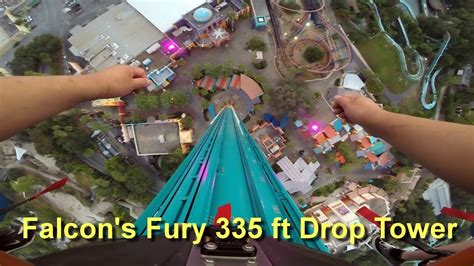 Falcons Fury 335ft Drop Tower Onride Pov At Sunset Busch Gardens Tampa Youtube