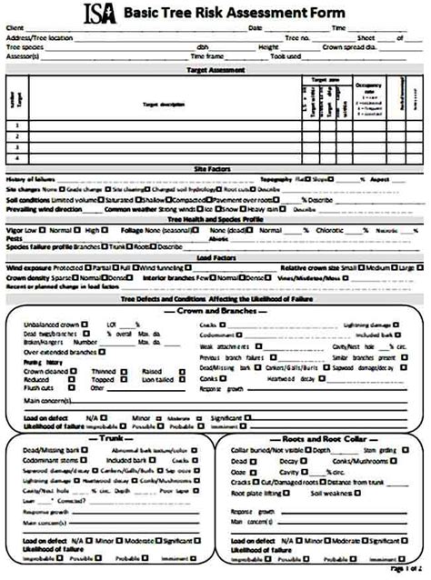 assessment form   sample mous syusa