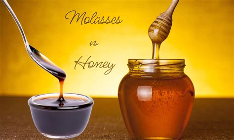 Molasses vs Honey: Which is Better? - The Coconut Mama
