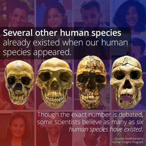 Some Scientists Believe As Many As Six Human Species Have Existed
