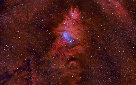 Ngc 2264 And The Fox Fur Nebula Astronomy Magazine Interactive Star